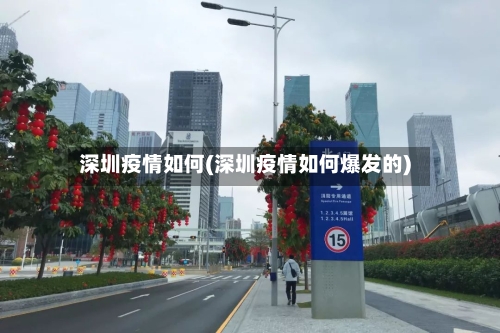 深圳疫情如何(深圳疫情如何爆发的)