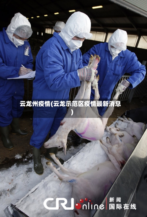 云龙州疫情(云龙示范区疫情最新消息)